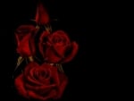 RED ROSES ON BLACK