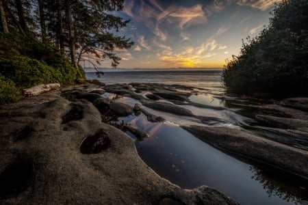 Coastal Sunset - trees, sunset, nature, coast, sea, sky