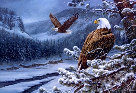 Winter eagles