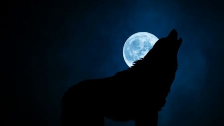 Howling - moon, silhouette, lup, night, fantasy, creative, wolf, full, blue, luminos, animal, luna