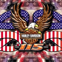 2018 Harley Davidson Anniversary eagle