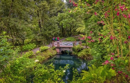 Bridge on the Park,Spain - spain, nature, trees, gijon, park, pond, bridge