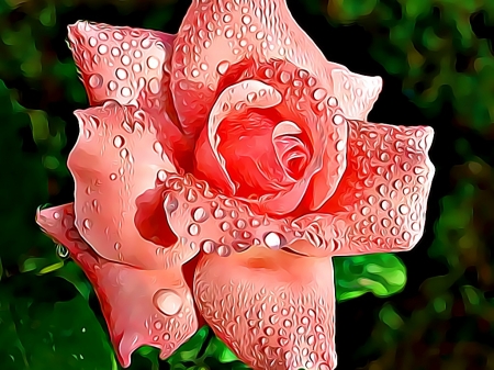 PINK ROSE FRACTAL