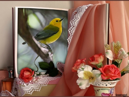 BIRD IN THE BOOK - WINDOW, BIRD, FRAMED, PRETTY