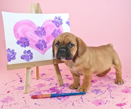 Puppy - animal, funny, pink, caine, painter, puppy, dog