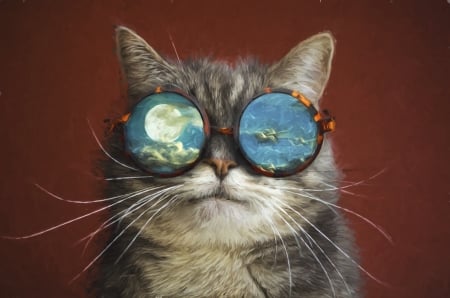 Cat - face, cat, glasses, full moon, animal, luna, funny, pisica