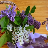 BASKET OF LILACS