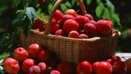 Fruit Basket - nature, apple, red, fruit