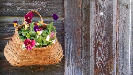 Hanging flower - bag, basket, door, flower