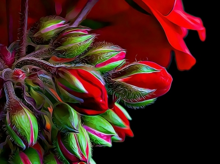 FUNKED FLOWER BUDS - funked, abstract, buds, flower