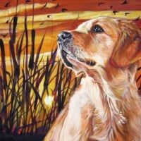 Sunset Golden Retriever