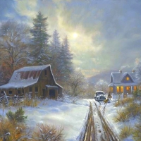 Winter Homeplace