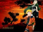 tsunade and naruto