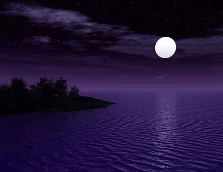 light - calm, lake, purple, sky