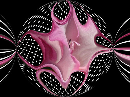 Pink and black - colors, fractal