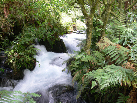 Falls - nature, falls