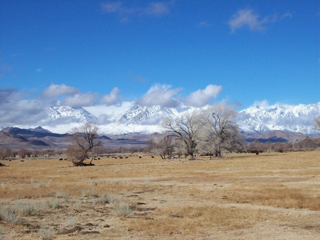 Entering Bishop, Ca. - nature, photography, deserts, travel, 3d