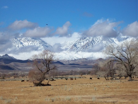 Entering Bishop, Ca. 2 - nature, travel, 3d, photography, deserts