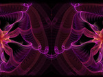 water flower ribbion pink im fractal wallpaper art