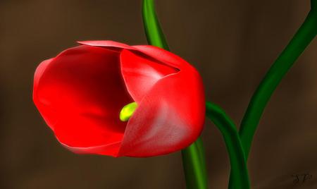 Flower - red, flower