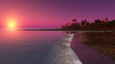 Island Sunset - calm, relax, palms, vacation, beach, sea, island, sunrise, ocean, pink, dawn, Firefox Persona theme, sunset, palm trees, sky