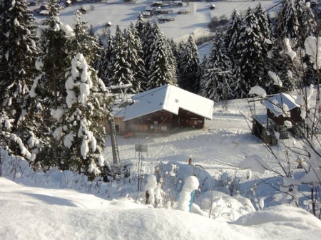 Winter in Mountains - firs, cabin, landscape, snow