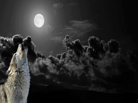 Howling At the Moon - skies, wolf, moonlight, howl