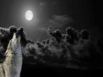 Howling At the Moon