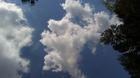 Interesting clouds! - swky, trees, blue, clouds