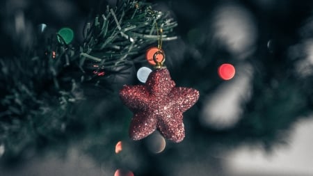 Merry Christmas! - star, bokeh, pink, tree, christmas, craciun, new year, green, card