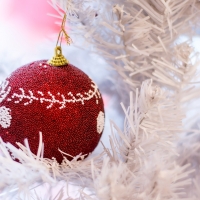 Merry Christmas & Happy New Year