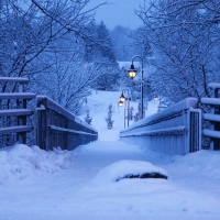 Winter Evening Bridge