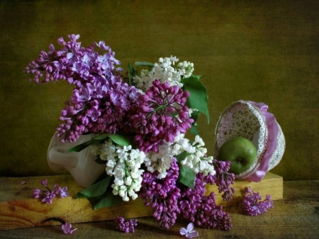 PRETTY LILACS - flowers, image, pretty, lilacs