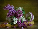 PRETTY LILACS