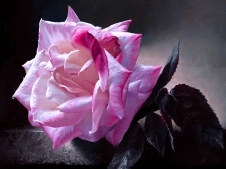 PINK ROSE - image, pink, rose, pretty