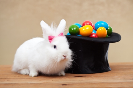 Happy Easter! - hat, colorful, easter, bunny, white, rabbit, rodent, bow, pink, card, egg, cute