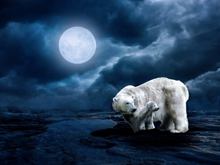 Polar bears under moonlight - moon, fantasy, white, winter, blue, polar bear, luna