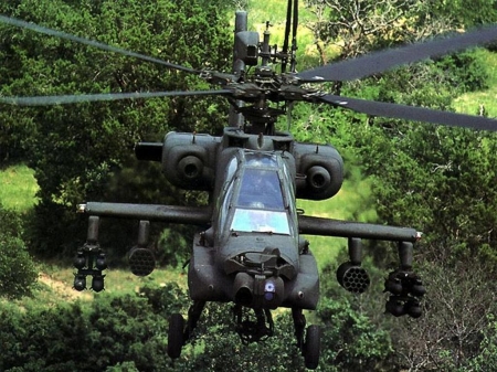 apache - jungle, helicopter, grass, apache, tree