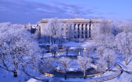 Winter in Liepaja, Latvia - Liepaja, Latvia, square, trees, winter, town, frost