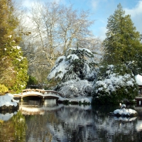 First Snowfall