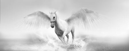 pegasus