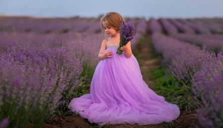 Little girl - lavender, summer, dress, girl, flower, pink, copil, child, green, field