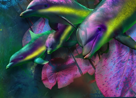 Dolphins - summer, katherine gray, dolphin, fantasy, pink, green