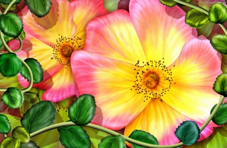 Roses - summer, flower, rose, pink, trandafir, yellow, green