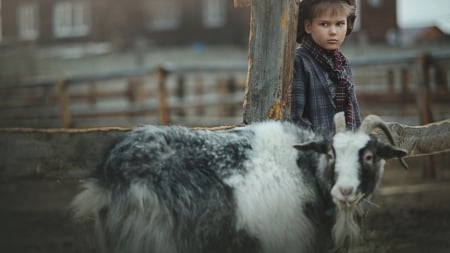 on the farm - animal, farm, boy, country