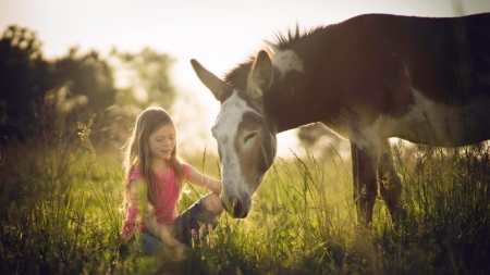 lets rest awhile - girl, field, nature, horse