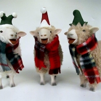 Elf Sheep