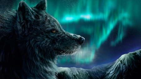 •ღ✿ღ• - digital art, fantasy, magical, wolf