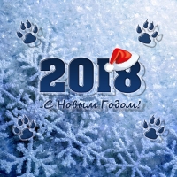 New Year 2018 in Blue