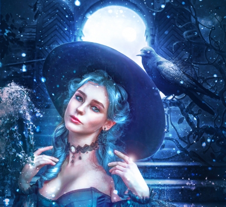 Witch - moon, hat, girl, winter, fantasy, pasare, bird, raven, white, witch, luminos, blue, eerilyfairwinter, luna